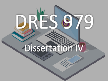 Dissertation IV