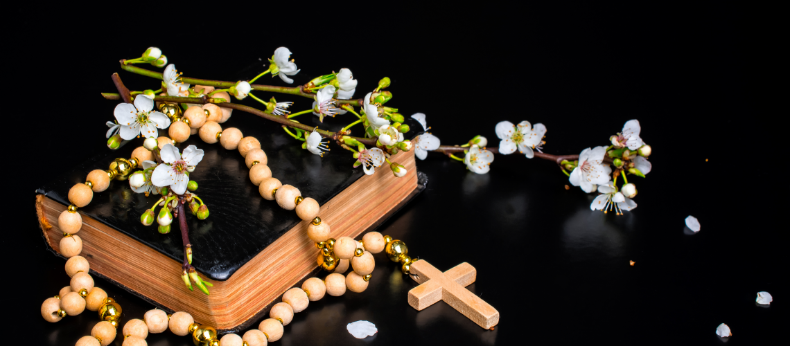 Genesis University News Shotterstock 1651715767 2000x1333