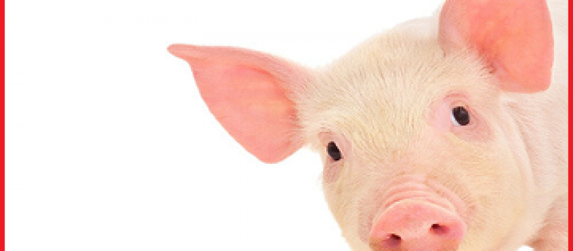 Genesis University | 100% online tuition