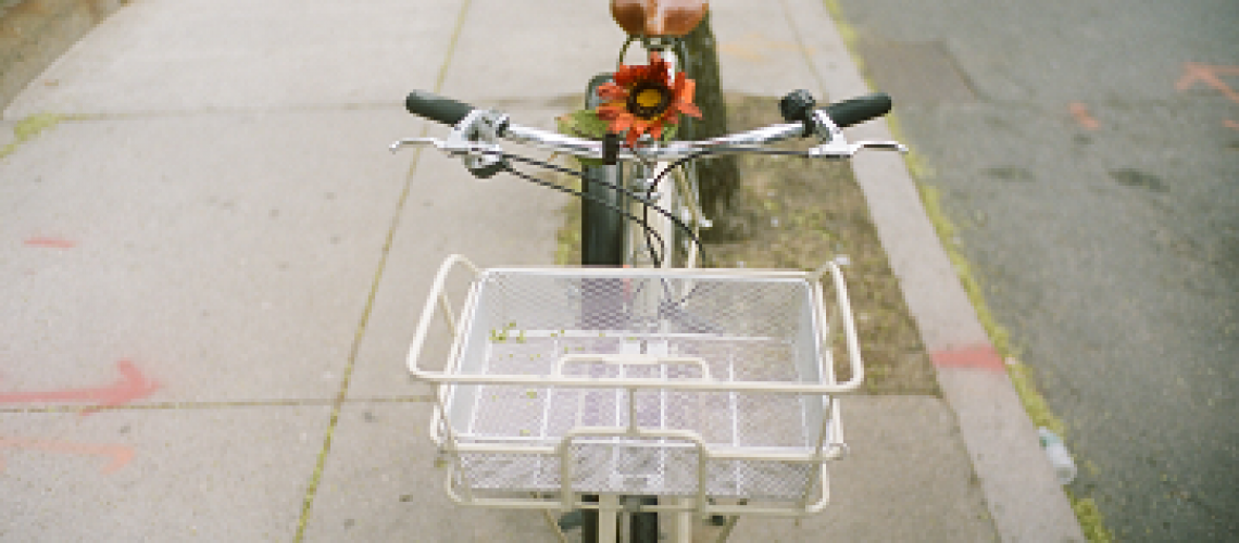 Genesis University | 100% online tuition